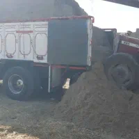 کاه نیشکر یا فشنگی جهت خوراک گاومیش وگاو و گوسفند|لوازم جانبی حیوانات|شوشتر, |دیوار