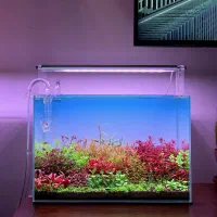 ساخت و دیزاین آکواریوم