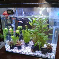 اکواریوم سایز۷۰ ۴۹ شرکتی