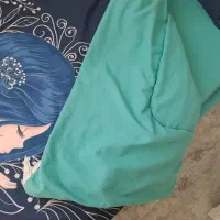 روتختی دخترونه|سرویس روتختی|فردیس, منظریه|دیوار