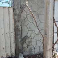 اجرای سیمانکاری ساده و طرح دار|خدمات پیشه و مهارت|قزوین, |دیوار