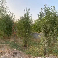 باغچه-750-متری-زیر-قیمت