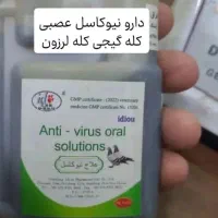 پرورش فروش کبوتر سبز انزیمیت دارو خارجی ارزن گندم