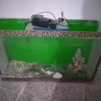 آکواریوم با وسایل