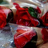 رزهای ماندگار|گل مصنوعی|سنندج, |دیوار