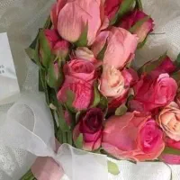 خانم جویای کار