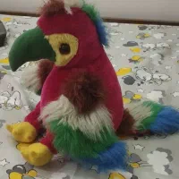 دو تا عروسک طوطی