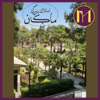 بنی-هاشم-110-متر-کلنگی-شمالی