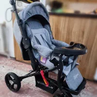 کالسکه دلیجان مدل بنیتا