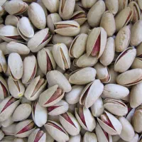 پسته دامغان