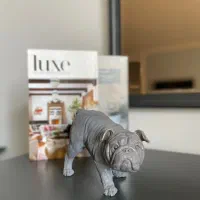 دکوری های خاص و مدرن|مجسمه، تندیس، ماکت|تبریز, |دیوار