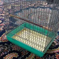 قفس بزرگ زخیم طوطی مینا برزیلی انواع پرندگان|لوازم جانبی حیوانات|هشتگرد, شهرک بوستان|دیوار