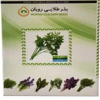 بذر سبزی جات خارجی|گل و گیاه طبیعی|شیراز, آزادگان|دیوار