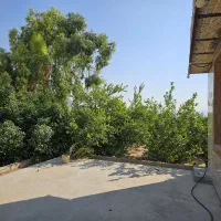 باغچه با امتیاز آب و برق|فروش زمین و ملک کلنگی|کازرون, |دیوار