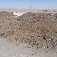 کود‌مرغ‌خالص|خدمات باغبانی و درختکاری|کاشان, راوند|دیوار