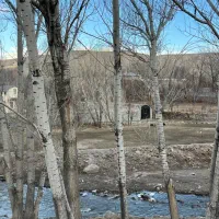 فروش قطعه زمین ویلایی هروی کوی ارغوان ۷۰۰متر