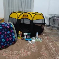 لوازم‌پت پامر باکس فنس کوله معاوضه با عروس هلندی