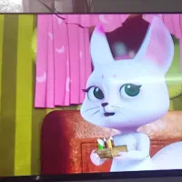 تلویزیون هوشمند ۵۰اینج اسنوا 4k