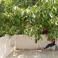 خانه ویلایی ۸۰ متری با یک سویت ۴۰ متری در گرمی|فروش خانه و ویلا|گرمی, |دیوار