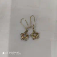 یک قطعه طلا پیدا شده