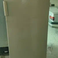 یخچال تارا سالم و تر تمیز .عکس گویاست