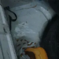 پراید ۱۳۲ بدون رنگ شاسی پلمپ تک برگ سند کارمندی