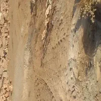 زمین-کردها