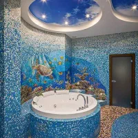 لوله بازکنی فنرزن ارتش اختیاریه اقدسیه قلهک دزاشیب