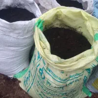 کود گاوی|خدمات باغبانی و درختکاری|فومن, |دیوار