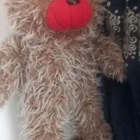 خرسپولیشی|اسباببازی|قم, پردیسان|دیوار