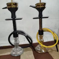 قلیون اصل طلایی