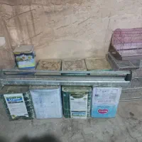 حلب وقفس پرنده