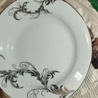 ظروف پذیرایی