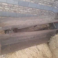آب خوری گوسفند