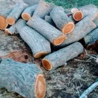 خرید وفروش انواع چوب