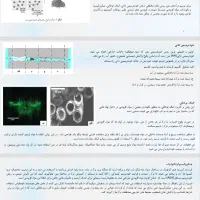 خدمات دانش آموزی و دانشجویی، تایپ، پاورپوینت|خدمات رایانهای و موبایل|تهران, یوسفآباد|دیوار