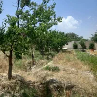 فروش باغ و ویلا