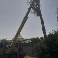 هرس قطع  انواع درختان با اره برقی ،علفزنی،سمپاشی|خدمات باغبانی و درختکاری|کرمانشاه, |دیوار