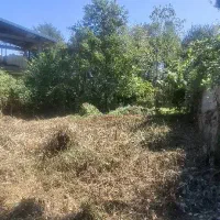 208متر کامل مسکونی|فروش زمین و ملک کلنگی|فومن, |دیوار