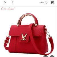 گم شده کیف ارزاگا