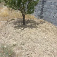 زمین باغ ویلا شهرستانک|فروش دفتر صنعتی، کشاورزی، تجاری|اراک, |دیوار