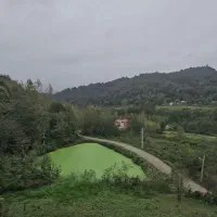 زمین جنگلی کوهستانی لاهیجان با ویو بینظیر