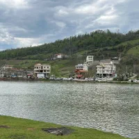 همکار جهت مدیریت کبابی