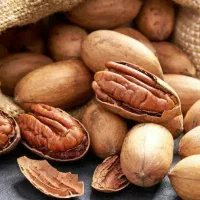 پیش فروش نهال گردو پکان تیپ۱|خدمات باغبانی و درختکاری|نهاوند, |دیوار