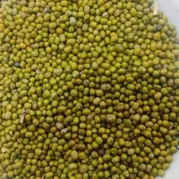 ماش عمرانی تمیز