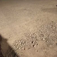 زمین کشاورزی