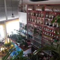 فروش مغازه ۴۲متری