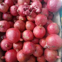 انار درجه ۱ قرمز