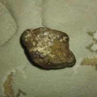 شهاب سنگ|کلکسیون و سرگرمی|اسفراین, |دیوار