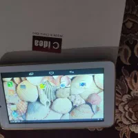 تبلت